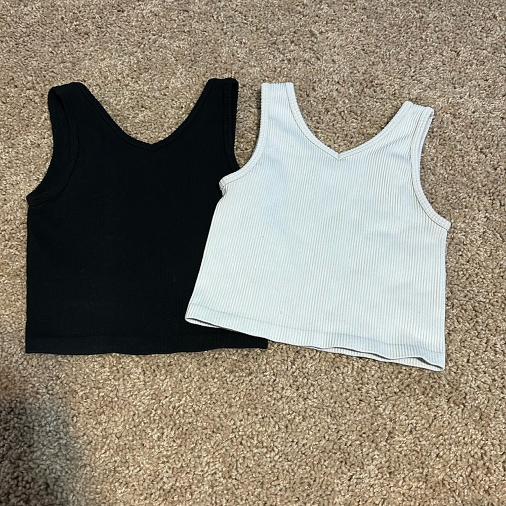 buckle brand crop tops
